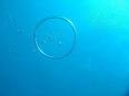 bubble ring